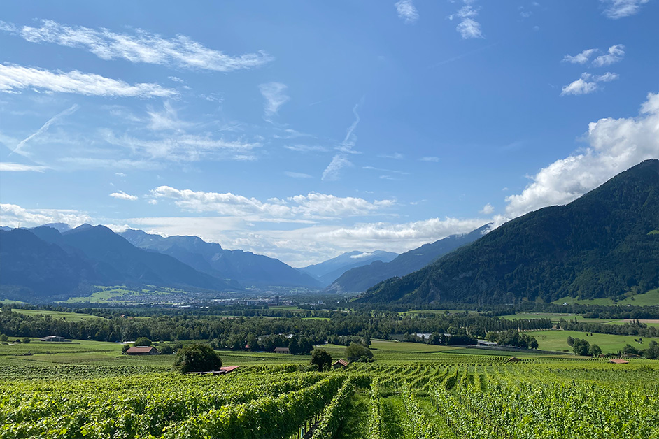 vetrox, glass scratch, glass repair, glass scratch removal, damaged glass, nano, glass protection, safety glass, LSG, glazing, glazed, IG