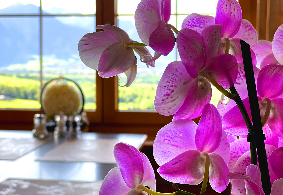 restaurant, bündte, buendte, jenins, Bündner Wein, Panorama, Terrasse, Sonnenterrasse, Bündner Spezializäten, Restaurant Graubünden